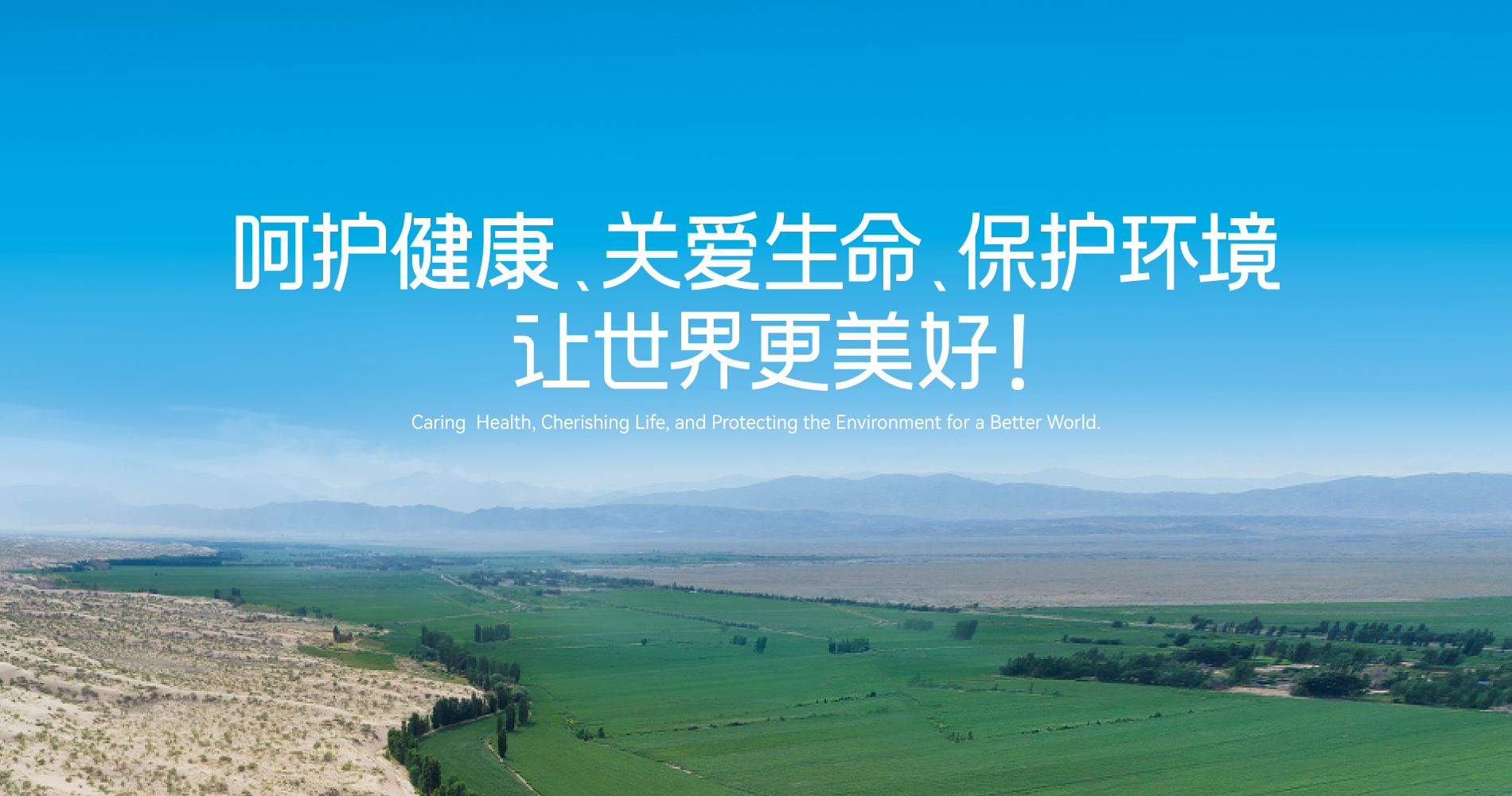一图读懂稳健集团2024年度ESG报告